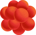 cells
