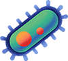 microbe